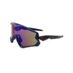 GAFSK9315-(1)