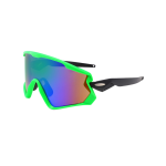 GAFSK9315-(11)