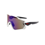 GAFSK9315-(8)