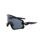 GAFSK9315-(9)